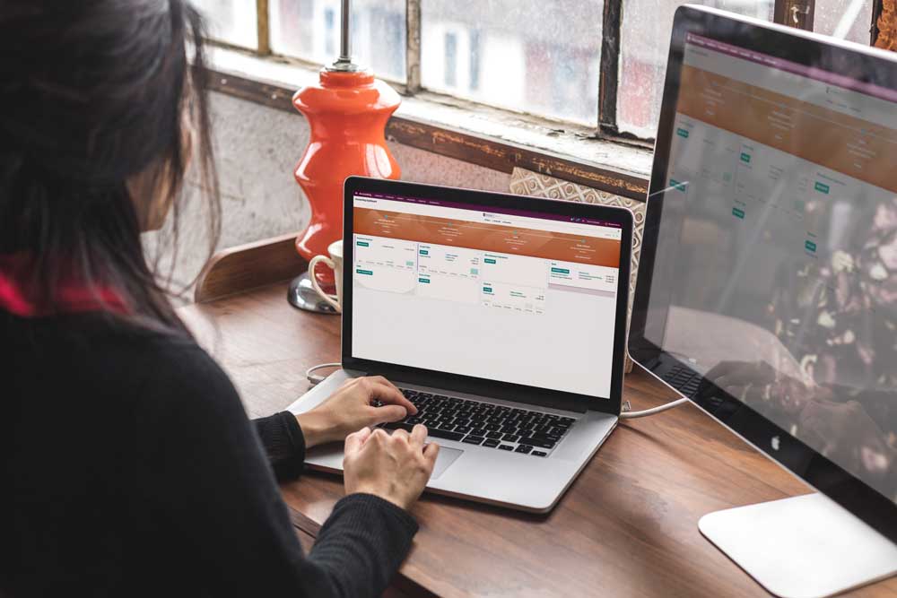 Odoo • Text and Image